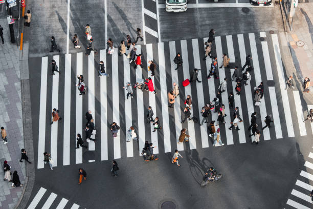 道路を渡ります。 - car driving transportation tokyo prefecture ストックフォトと画像