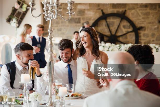 Socialising With Guests On Their Wedding Day Stock Photo - Download Image Now - Wedding, Wedding Guest, Guest