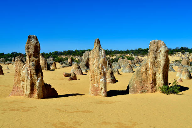 istock Australia, The Pinnacles, 1711-49 901898290