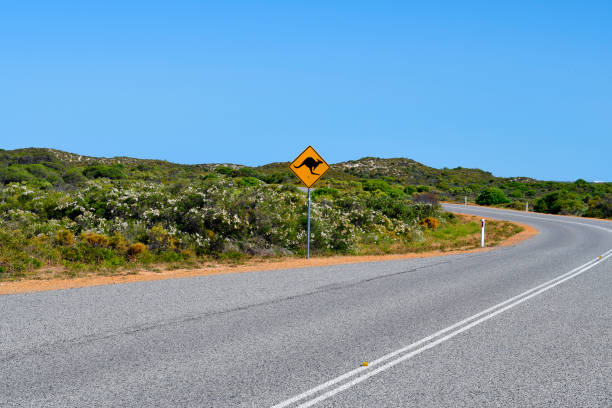 istock Australia, Warning sign for animal crossing 901901162