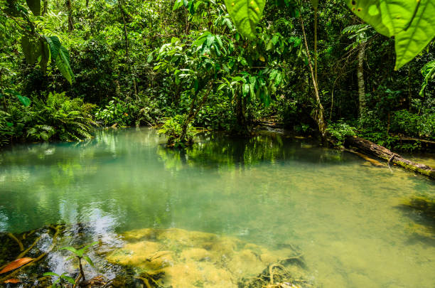 istock up stream of kuang si waterfall 901903448