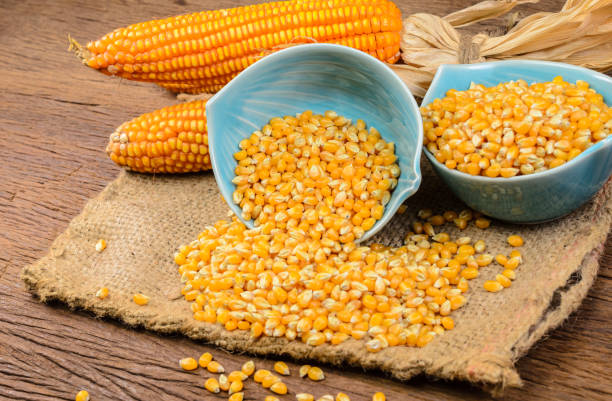 istock Dried corn in blue ceramic bowl on wooden table 901907418