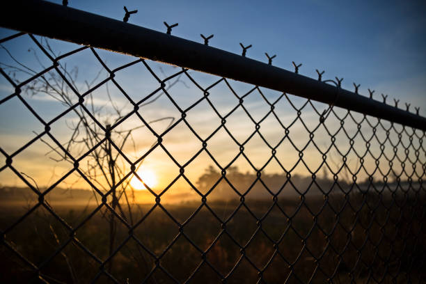istock View of dawn from behind a fence 901912242