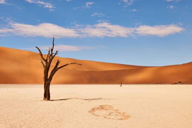 istock Namibian desert landscape 901913220