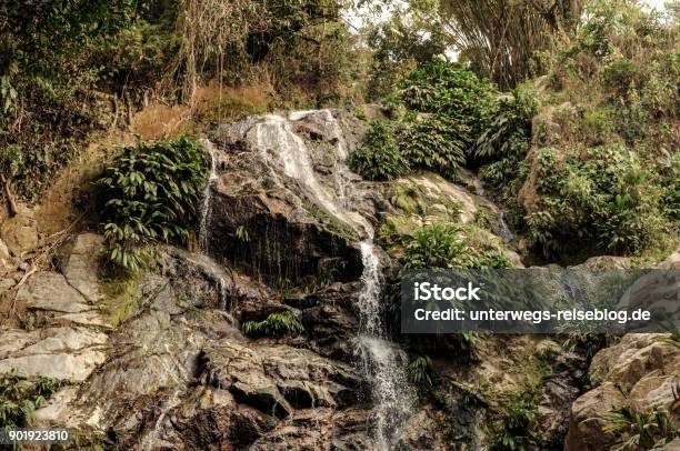Tropischer Wasserfall Im Dschungel Kolumbiens Stockfoto und mehr Bilder von Abenteuer - Abenteuer, Baum, Blatt - Pflanzenbestandteile