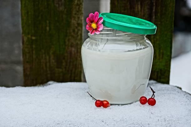 bocal en verre avec du lait, viburnum baies sur la neige - flower snow winter close up photos et images de collection