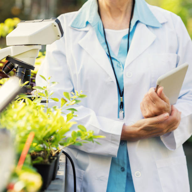 istock Confident botanist in greenhouse 901925904