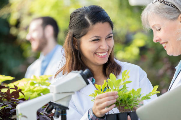 istock Botanists look research plants together 901925912