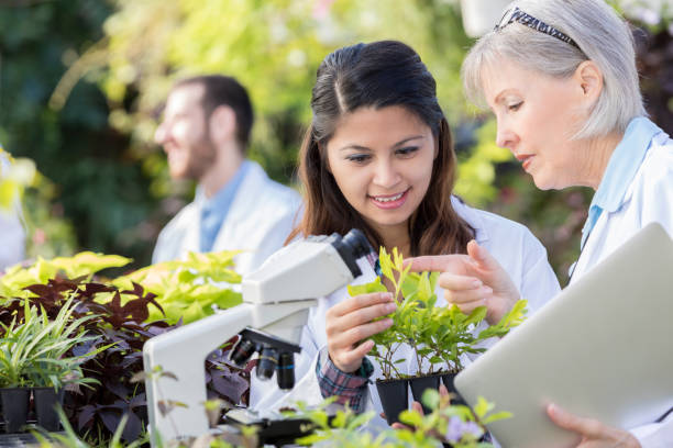 istock Female botanists analyze plant together 901925964
