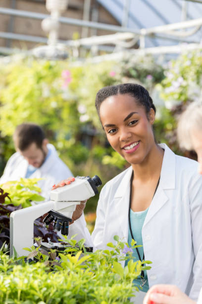 istock Young African American botanists working in greenhouse 901925966