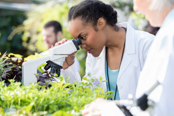 Young female botanist uses microscope in greenhouse