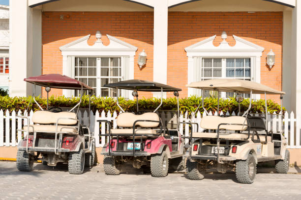 Asian man driving a golf cart on a golf course