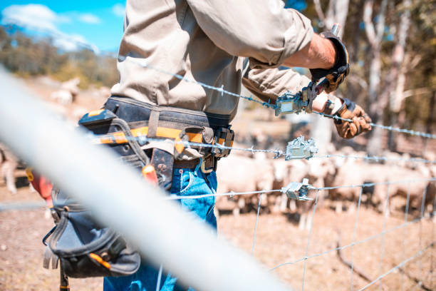 shepherd repairing fence - 2779 imagens e fotografias de stock