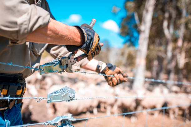 Shepherd repairing fence