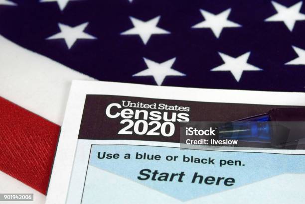 United States 2020 Census Form Stock Photo - Download Image Now - Census, 2020, USA