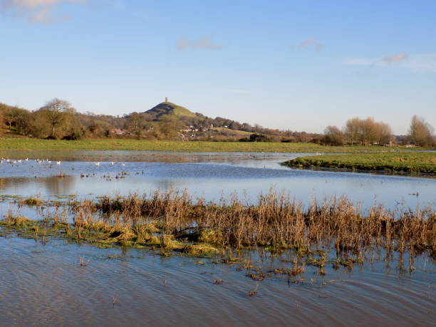 glastonbury tor in winter - glastonbury tor imagens e fotografias de stock