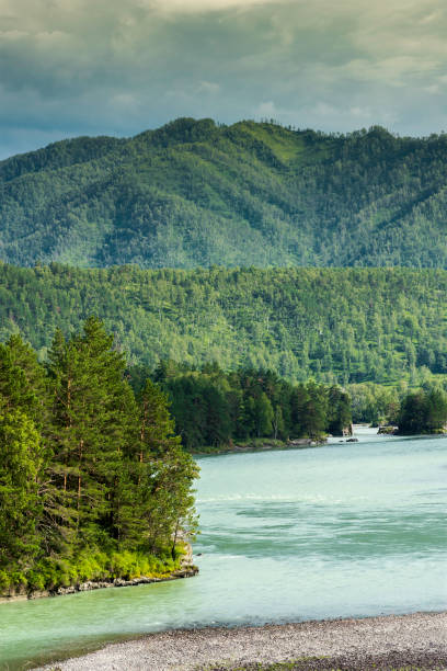 istock Summer mountain landscape of Altai 901953452