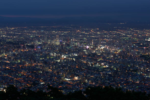 istock Sapporo city night view from Mount Moiwa 901959624