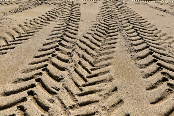 istock tire tracks in the sand as background 901959968