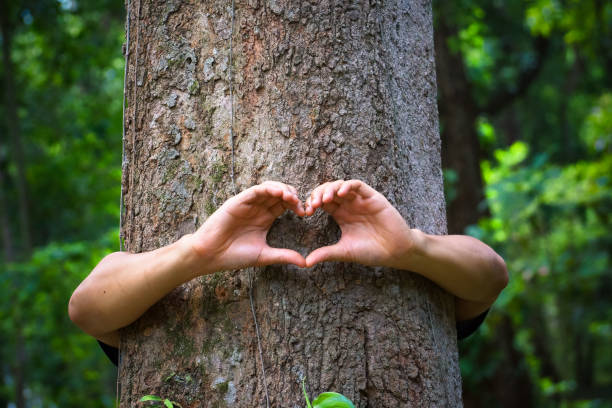 istock Protecting and love nature 901963366