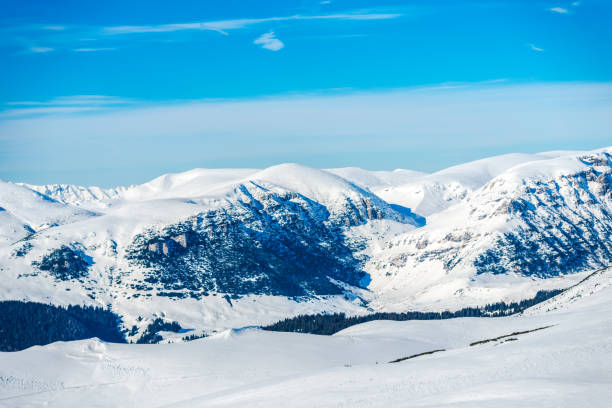 istock Winter in Sinaia, Romania 901964388