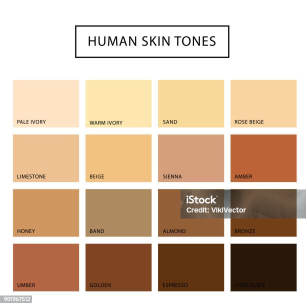 人間の皮膚のトーン セット - 人の肌のベクターアート素材や画像を多数ご用意 - 人の肌, 色, フィルタ化