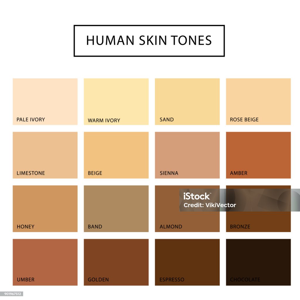 Human skin tone set Human skin tone set. Skin color from the darkest brown to the lightest hues, coloring of a person face and body complexion. Vector flat style cartoon illustration Colors stock vector