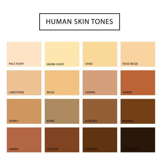 Human skin tone set Human skin tone set. Skin color from the darkest brown to the lightest hues, coloring of a person face and body complexion. Vector flat style cartoon illustration skin tone chart stock illustrations