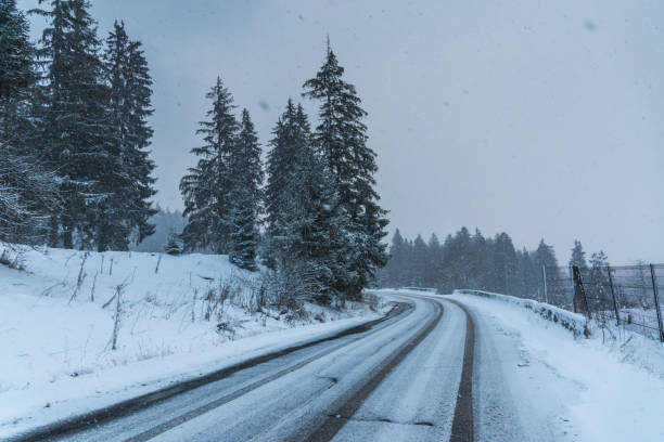 istock Winter in Sinaia, Romania 901967660