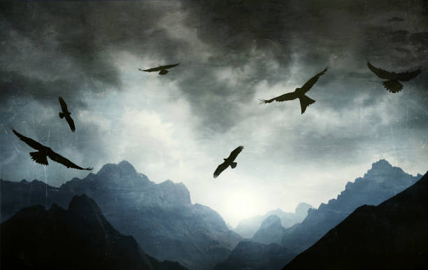 hawks et gothique paysage montagne - poetic photos et images de collection