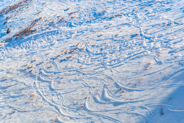 istock Ski resort in Sinaia, Romania 901972982