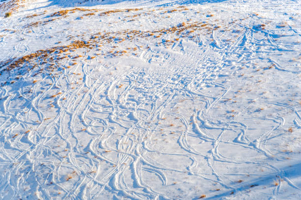 istock Ski resort in Sinaia, Romania 901972986