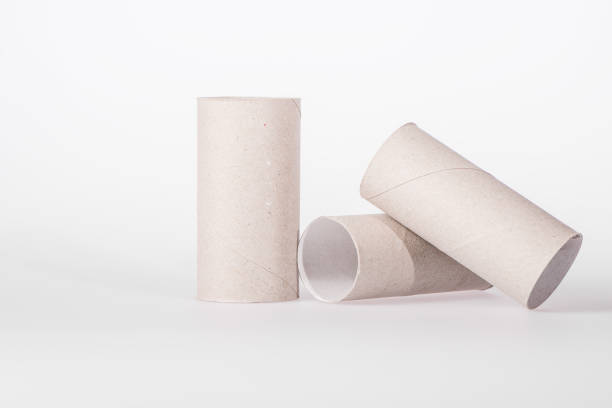 istock empty toilet rolls for craft on white background 901975872