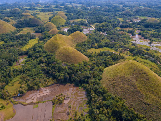 veduta aerea delle chocolate hills sull'isola di bohol, filippine - bohol foto e immagini stock