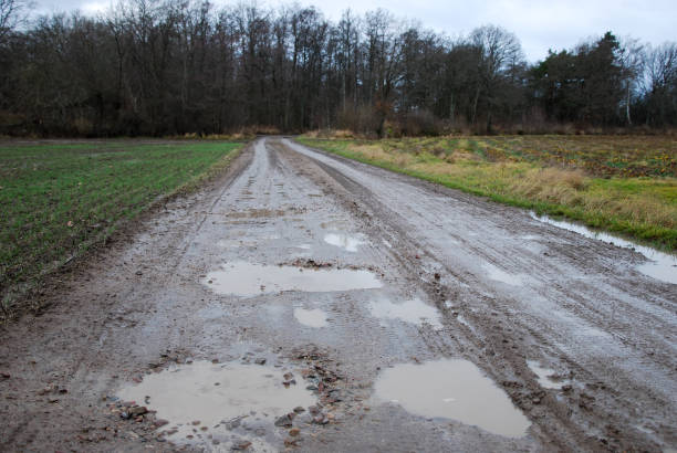 istock Muddy country road 901976610