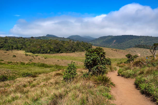 istock Scenic view in Horton Plains, Sri Lanka 901980762