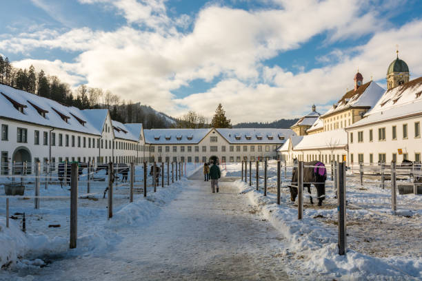 building exterior in sarnen in switzerland horizontal travel still