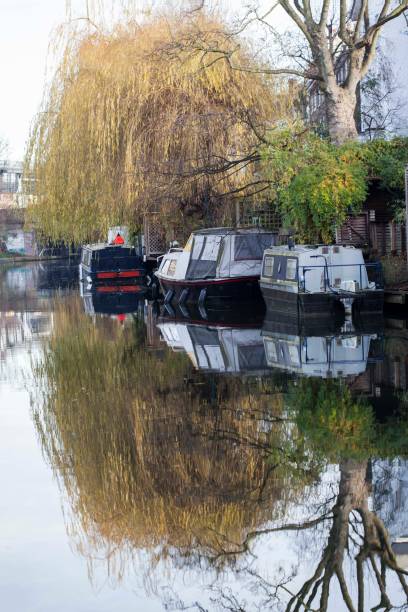 istock Canal of London under the Willow Trees 901984738
