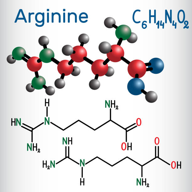 illustrazioni stock, clip art, cartoni animati e icone di tendenza di arginina (arg, r) molecola di amminoacido, è usato nella biosintesi delle proteine . formula chimica strutturale e modello molecolare - arginine