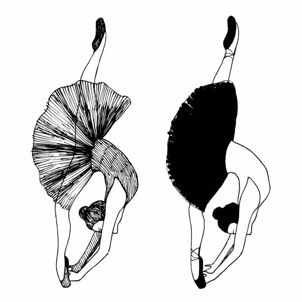 istock Vector illustration of ballerinas. silhouette. isolated on white background. 901990644