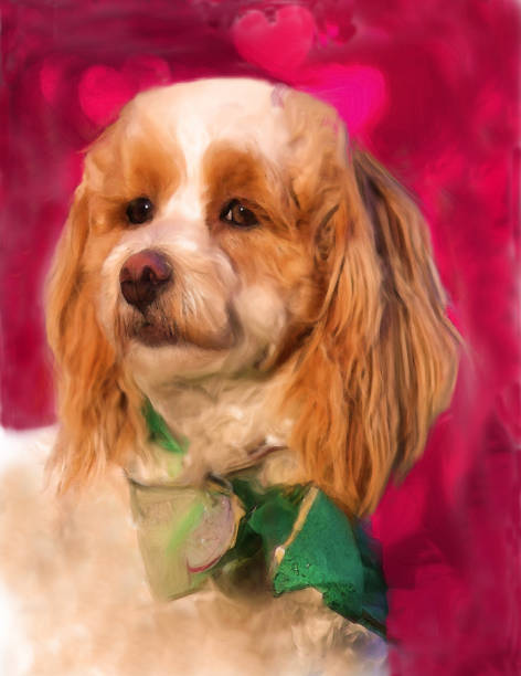 istock Valentine Cock-a-Poo Dog 901991642