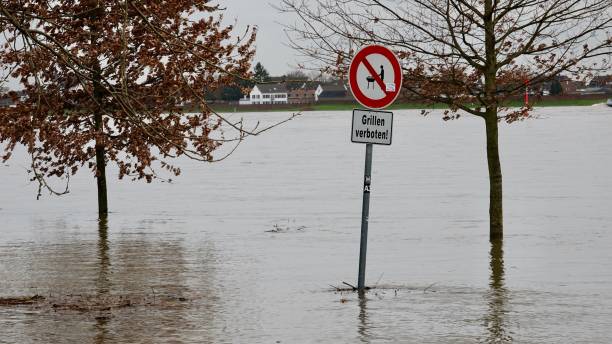 istock Prohibition sign and trees standing in water 901996298