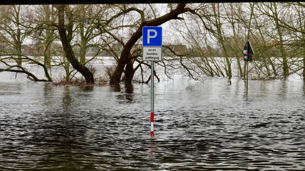 istock Prohibition sign and trees standing in water 901996302