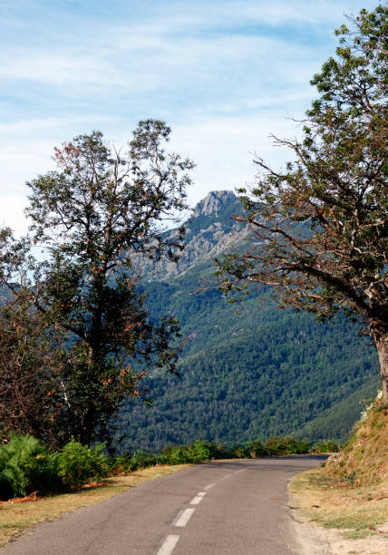 Mountain road in Corsica