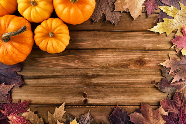istock Pumpkins with fall leaves over wooden background. 902002592