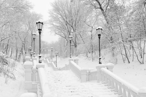 istock Snow-covered trees in the park and the lights 902003272