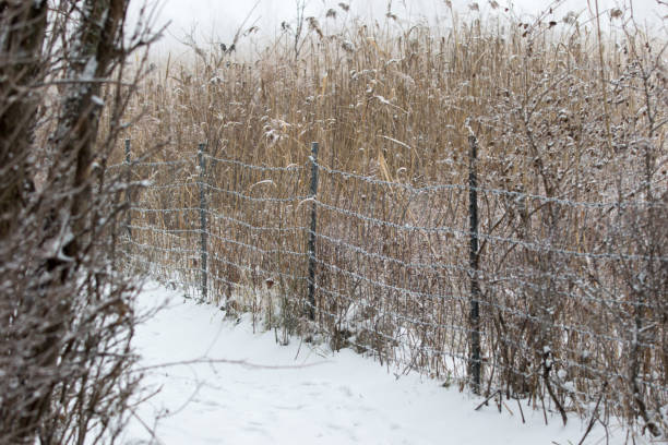 istock White Landscapes snow fence 902006126