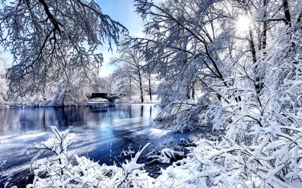Photo of Winter in Boston's Franklin Park
