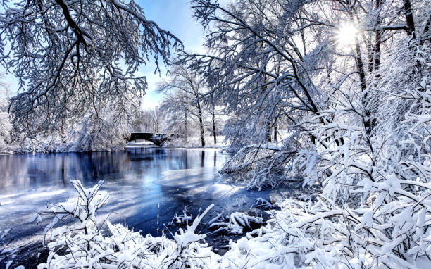 зима в бостонском парке франклин - boston winter snow massachusetts стоковые фото и изображения