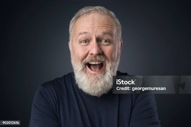 Gray Beard Happy Old Man Stock Photo - Download Image Now - Senior Men, Human Face, Men